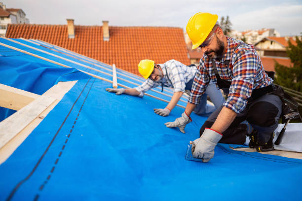 Best Metal Roofing Contractor  in Redwood, OR